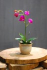 decorative artificial silk flower arrangements p004